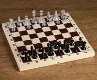 Шахматные фигуры, пластик